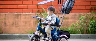 Рейтинг лучших трехколесных велосипедов с ручкой для родителей 2020-2021